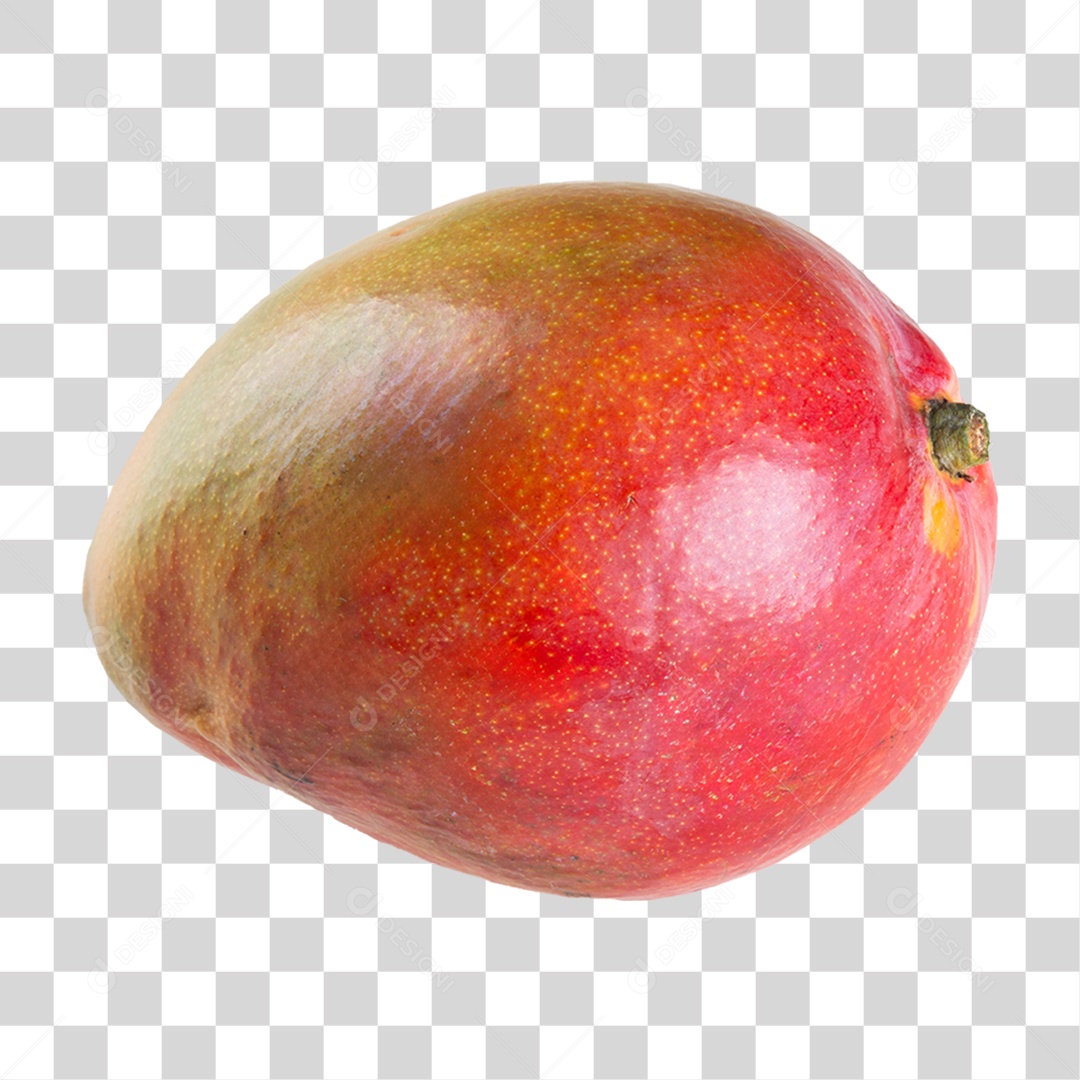 Fruta Manga PNG Transparente