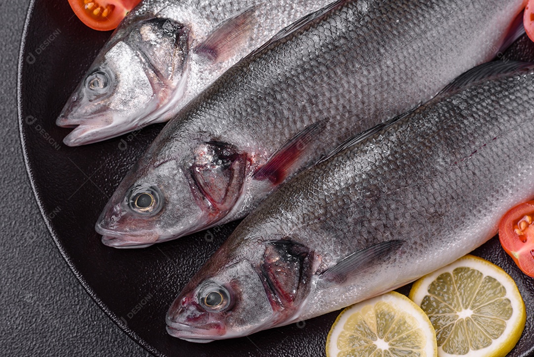 Peixe fresco de robalo oceânico cru com sal, especiarias e ervas em fundo de concreto escuro