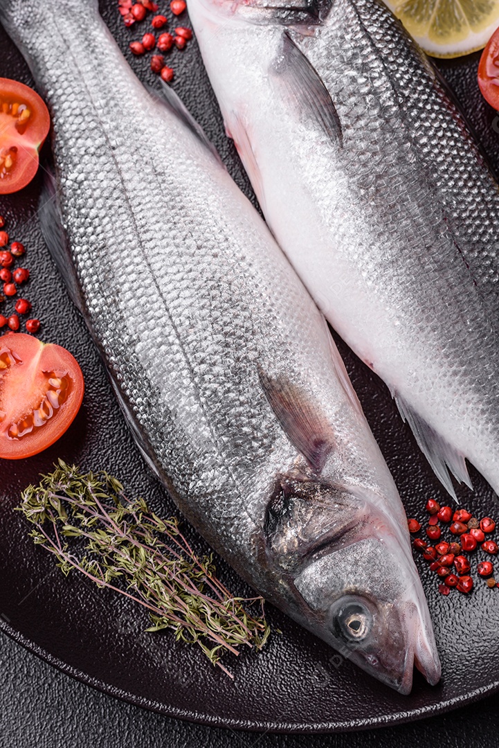 Peixe fresco de robalo oceânico cru com sal, especiarias e ervas em fundo de concreto escuro
