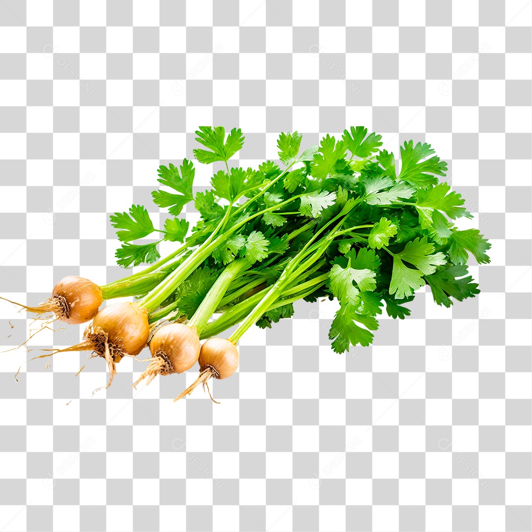 Maço de Salsa PNG Transparente