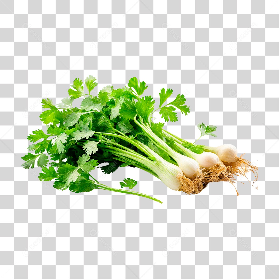 Maço de Salsa PNG Transparente