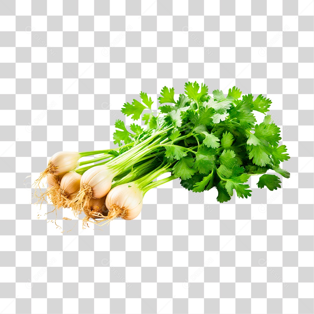 Maço de Salsa PNG Transparente