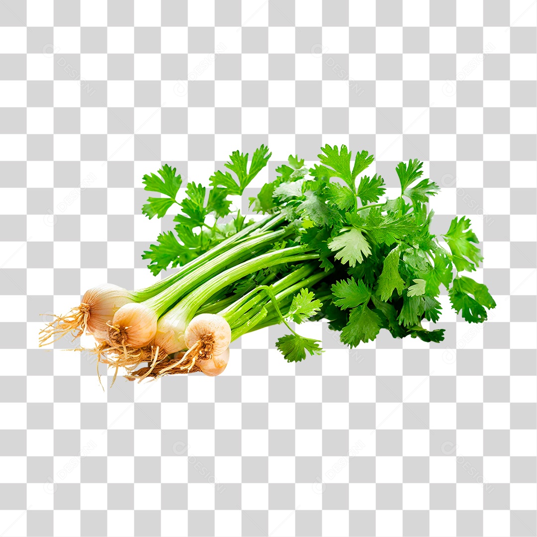 Maço de Salsa PNG Transparente