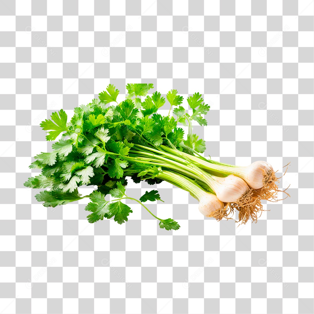 Maço de Salsa PNG Transparente