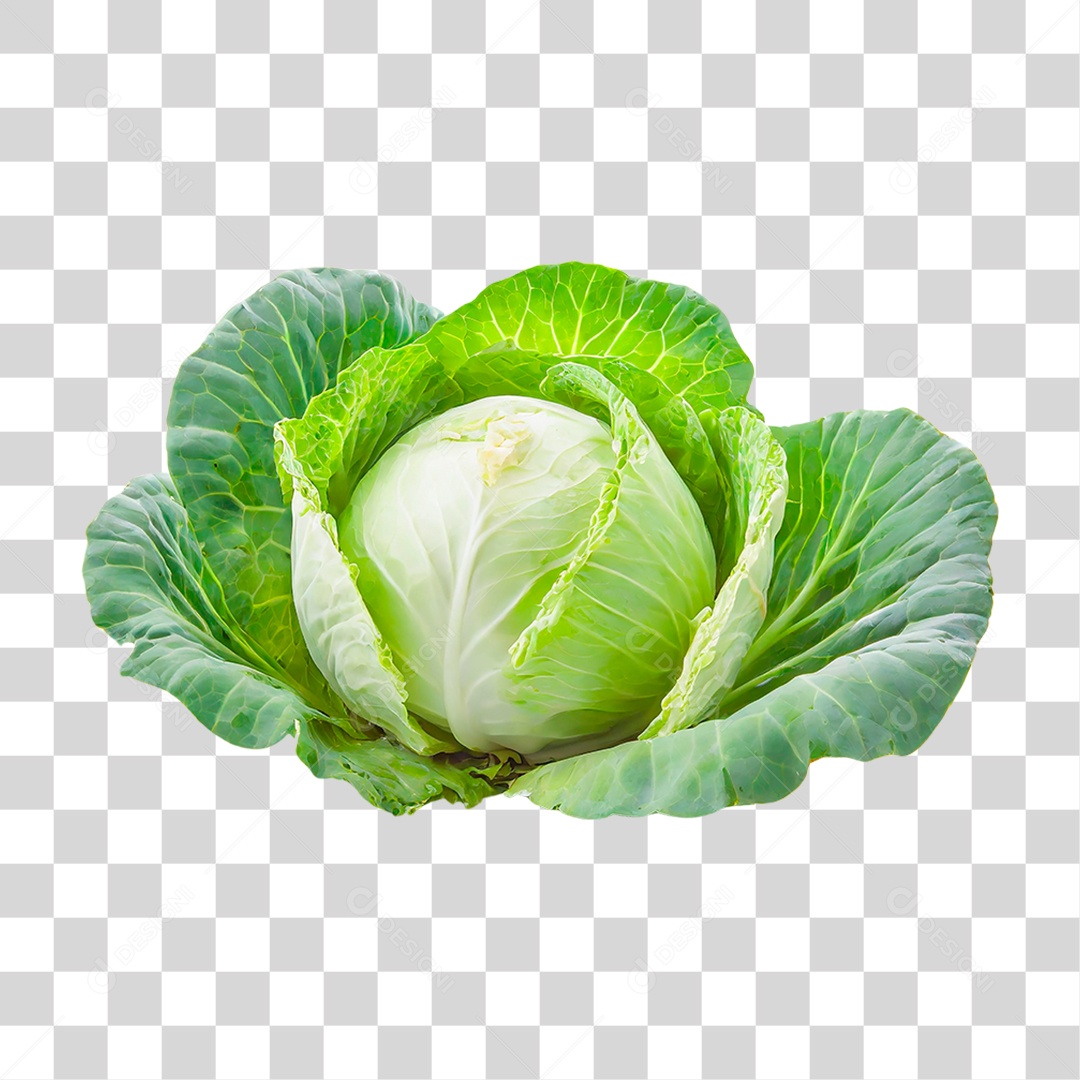 Repolho Verde PNG Transparente