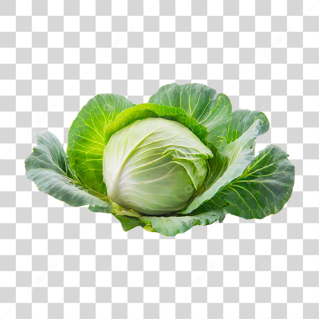 Repolho Verde PNG Transparente