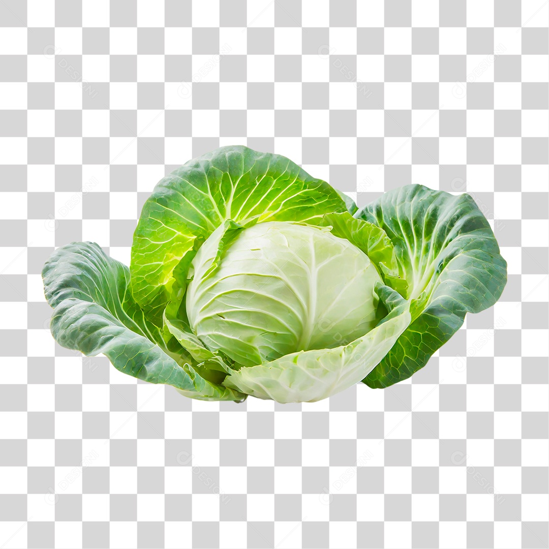 Repolho Verde PNG Transparente
