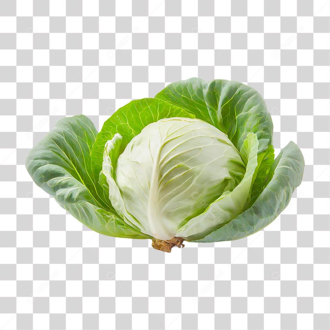 Repolho Verde PNG Transparente