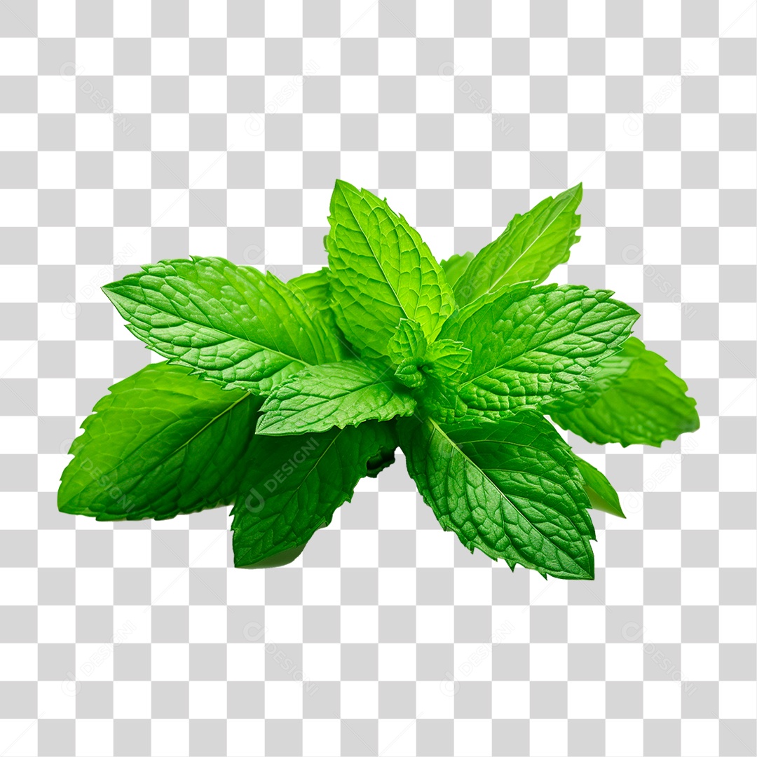 Folha de Hortelã PNG Transparente