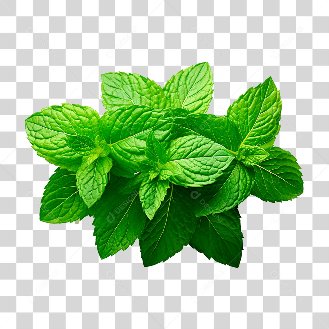 Folha de Hortelã PNG Transparente