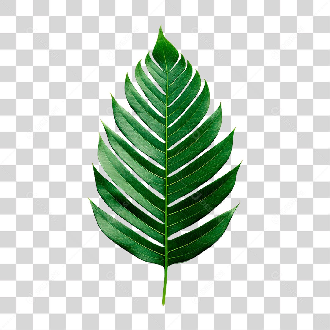 Palha Verde PNG Transparente