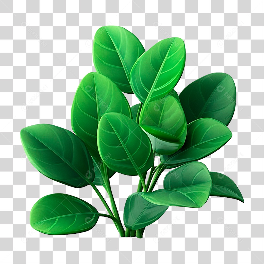 Galho Verde PNG Transparente