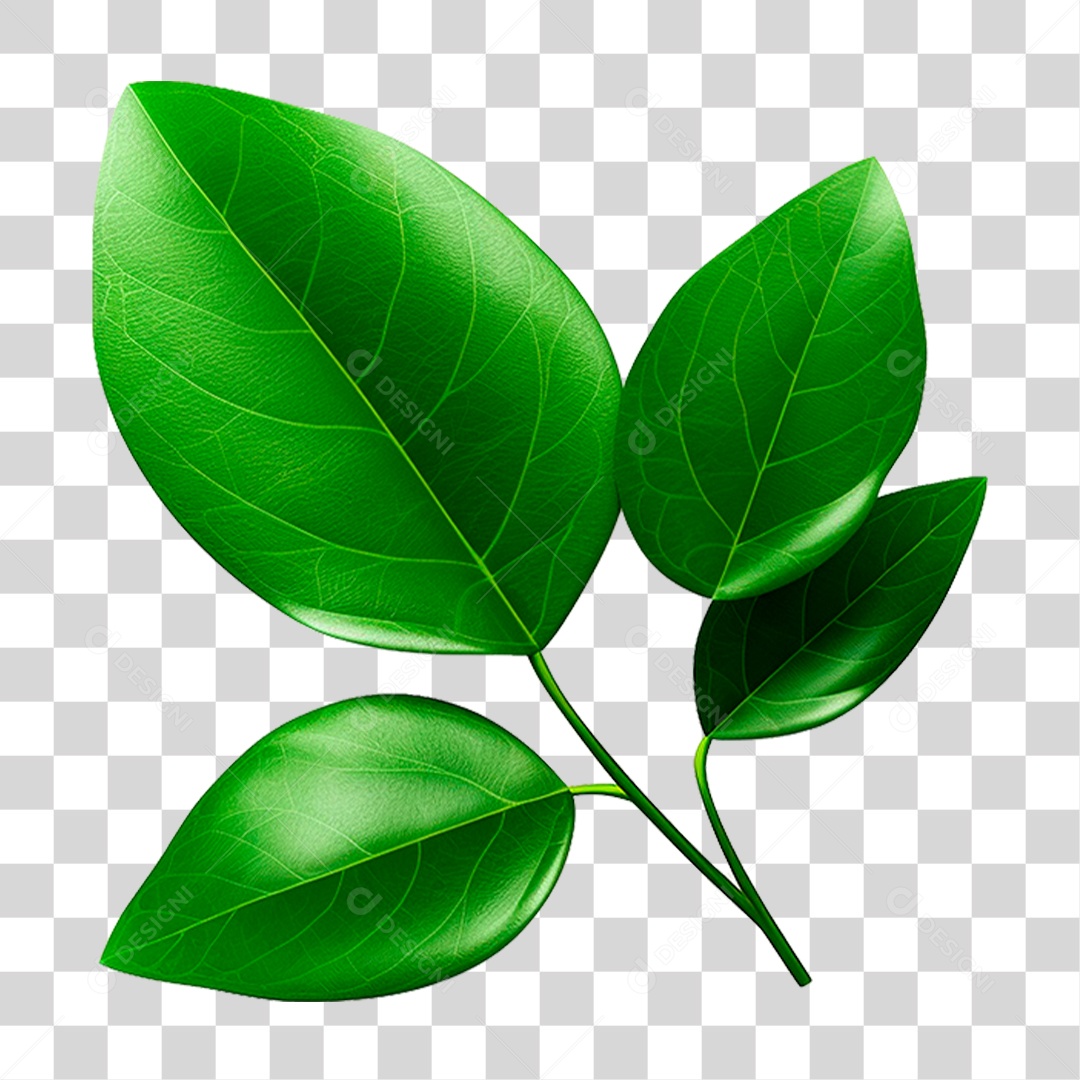 Galho Verde PNG Transparente