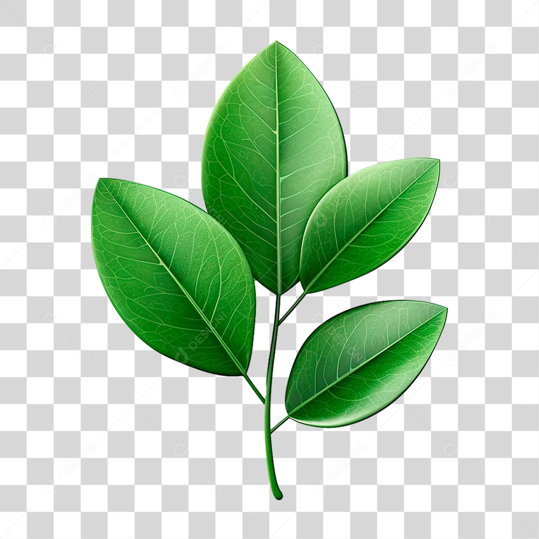 Galho Verde PNG Transparente
