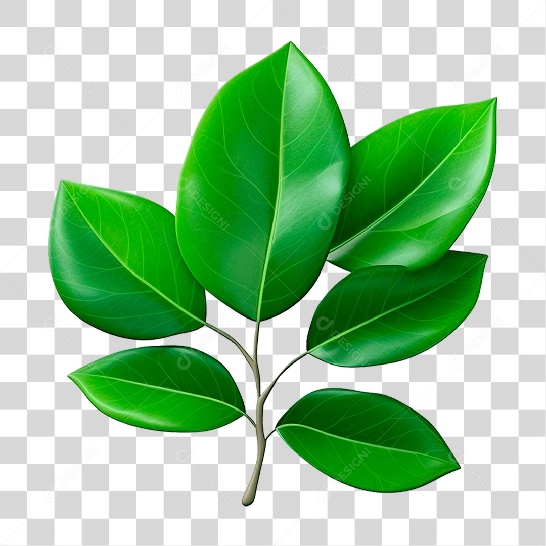Galho Verde PNG Transparente