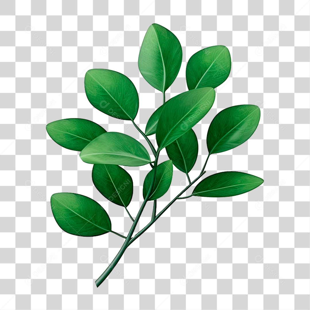 Galho Verde PNG Transparente