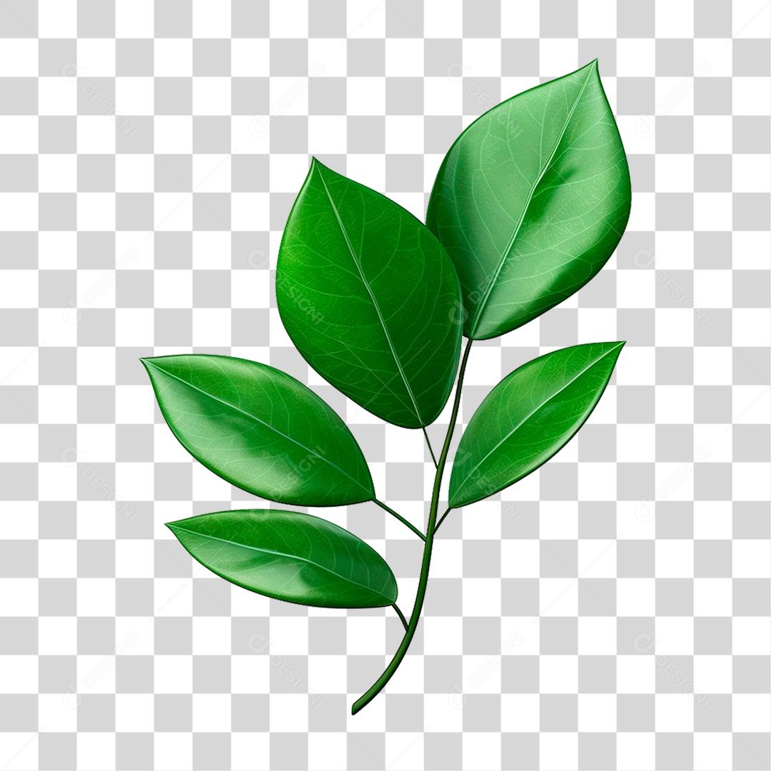 Galho Verde PNG Transparente