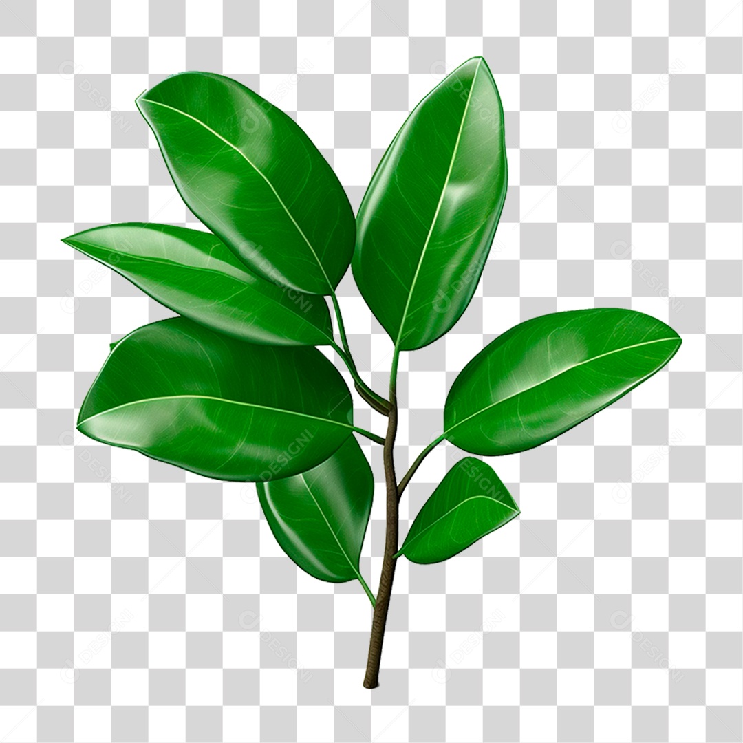 Galho Verde PNG Transparente