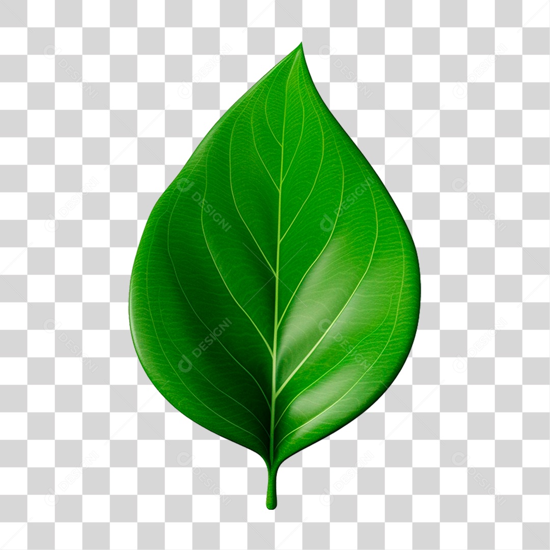 Folha Verde PNG Transparente