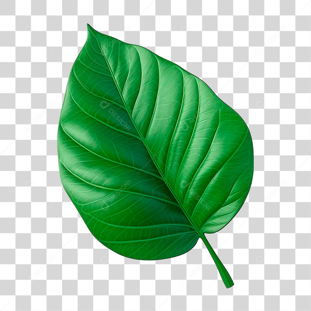 Galho Verde PNG Transparente