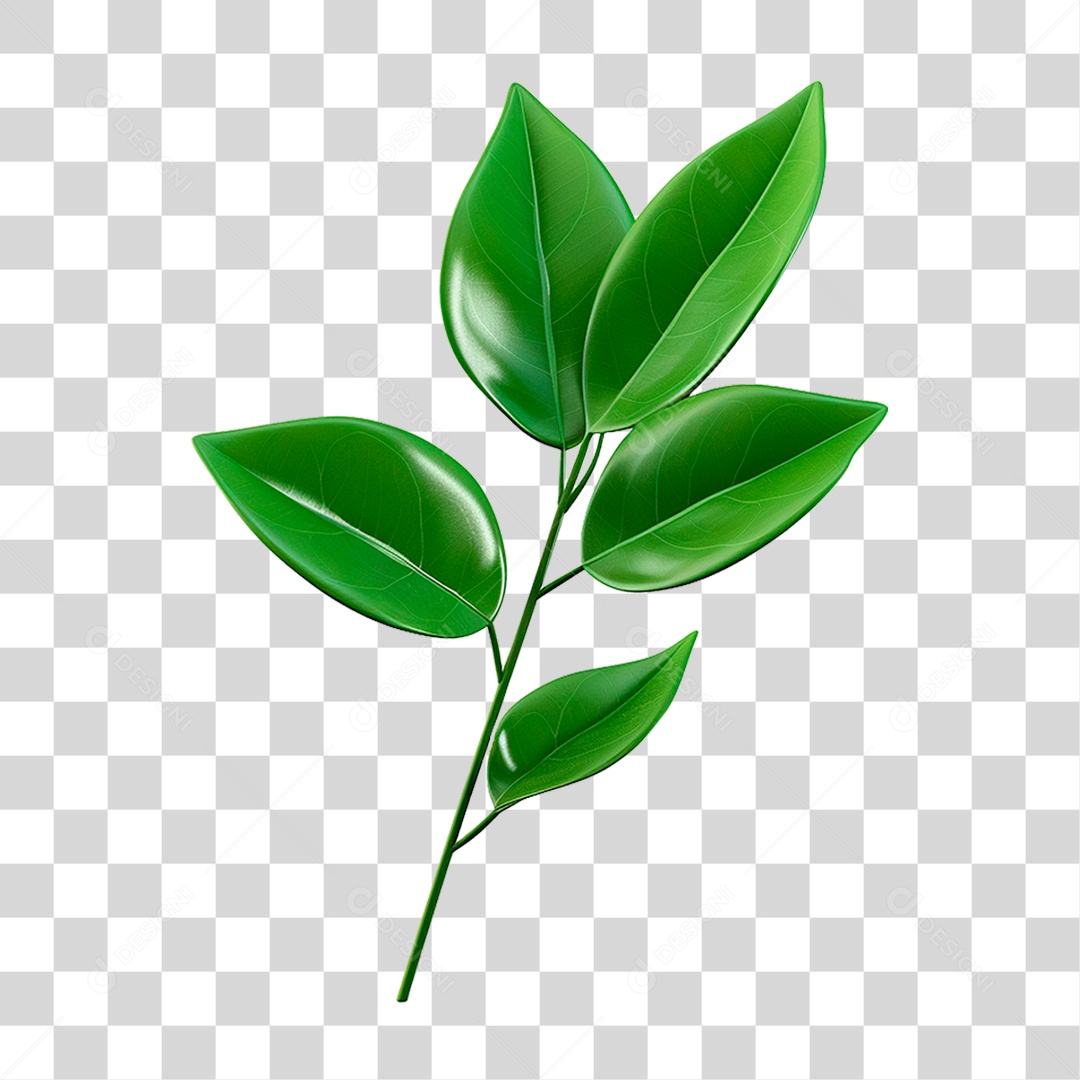 Galho Verde PNG Transparente