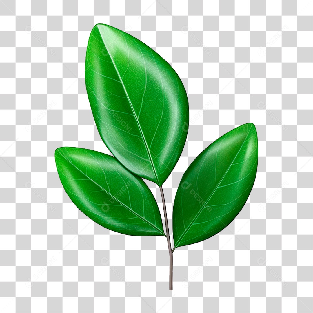 Galho Verde PNG Transparente