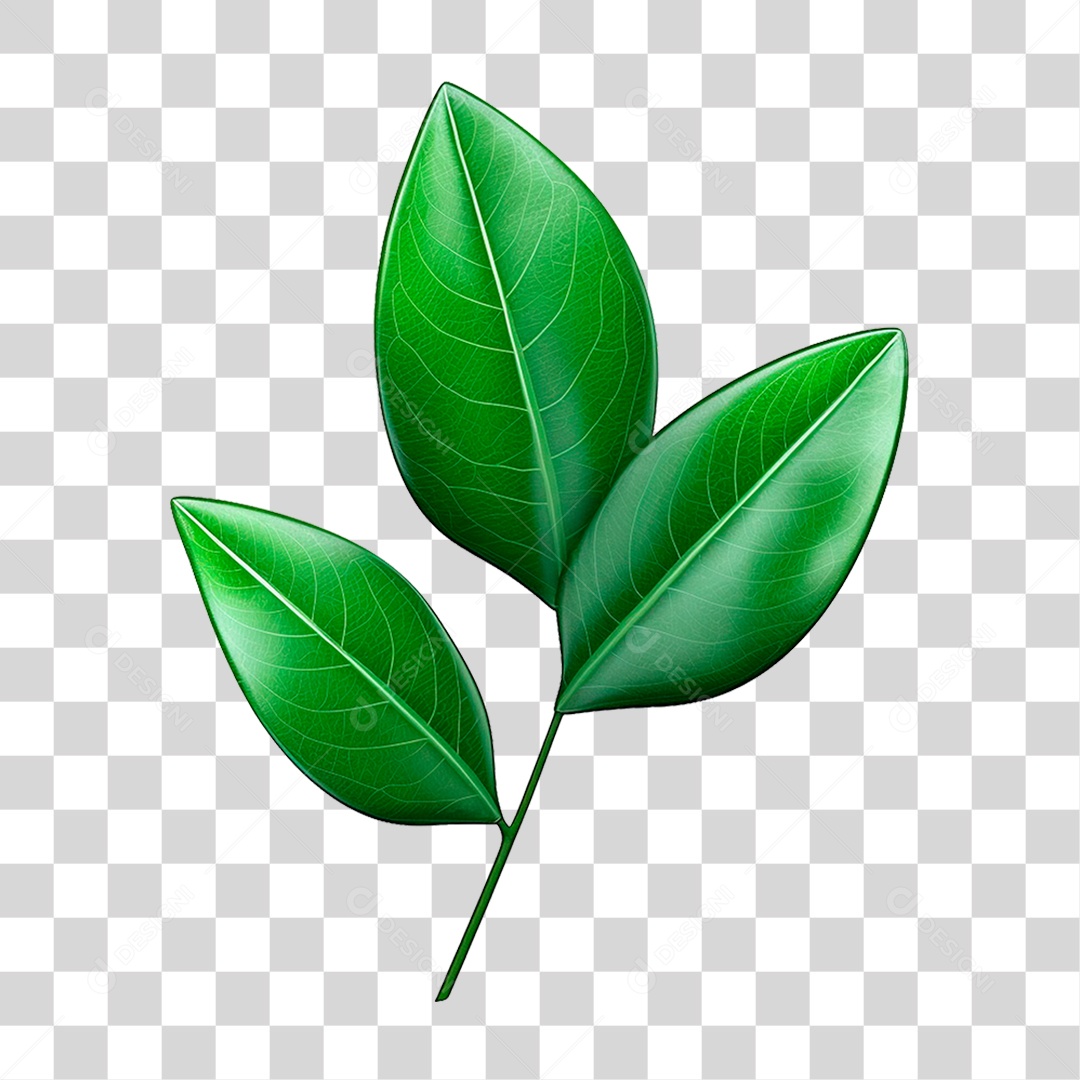 Galho Verde PNG Transparente