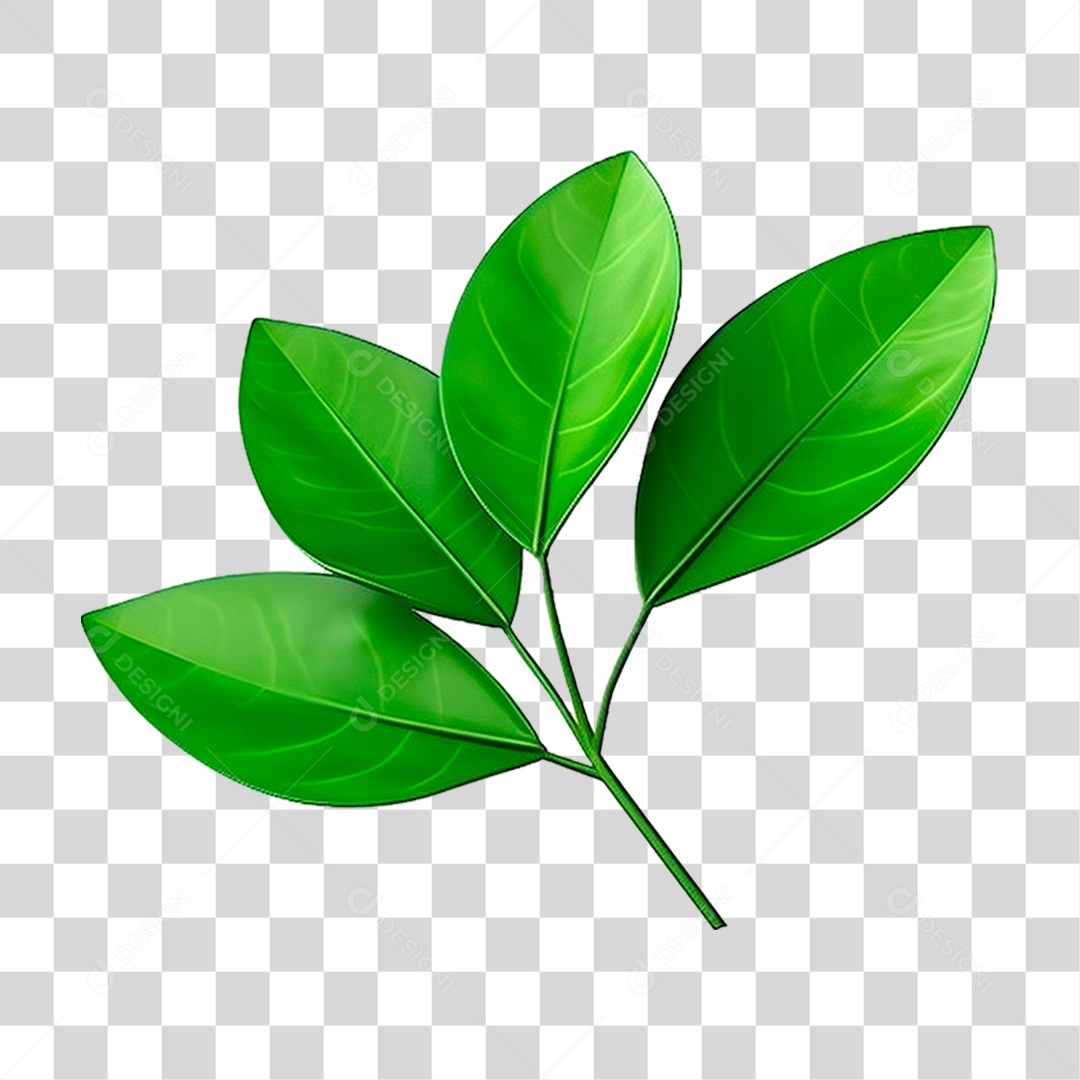Galho Verde PNG Transparente