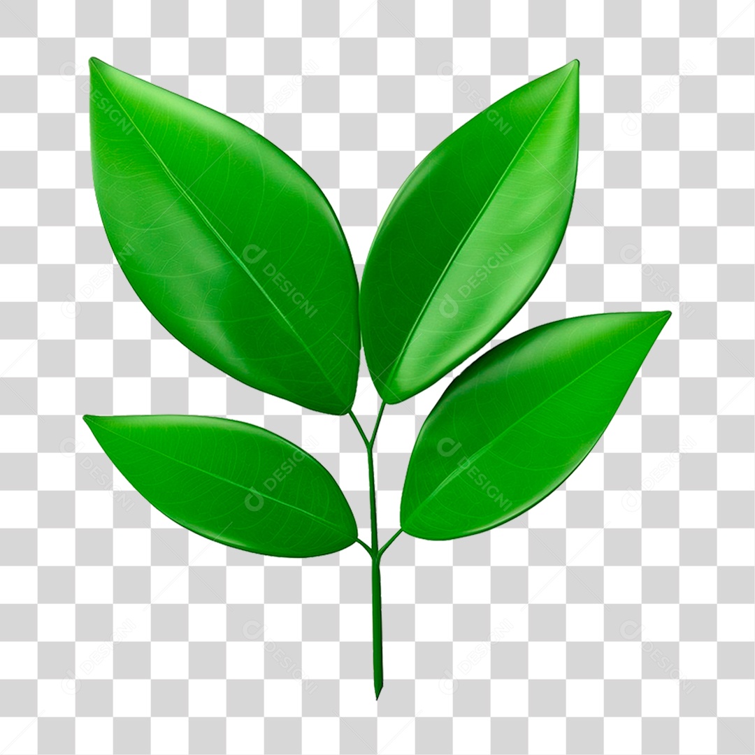 Galho Verde PNG Transparente