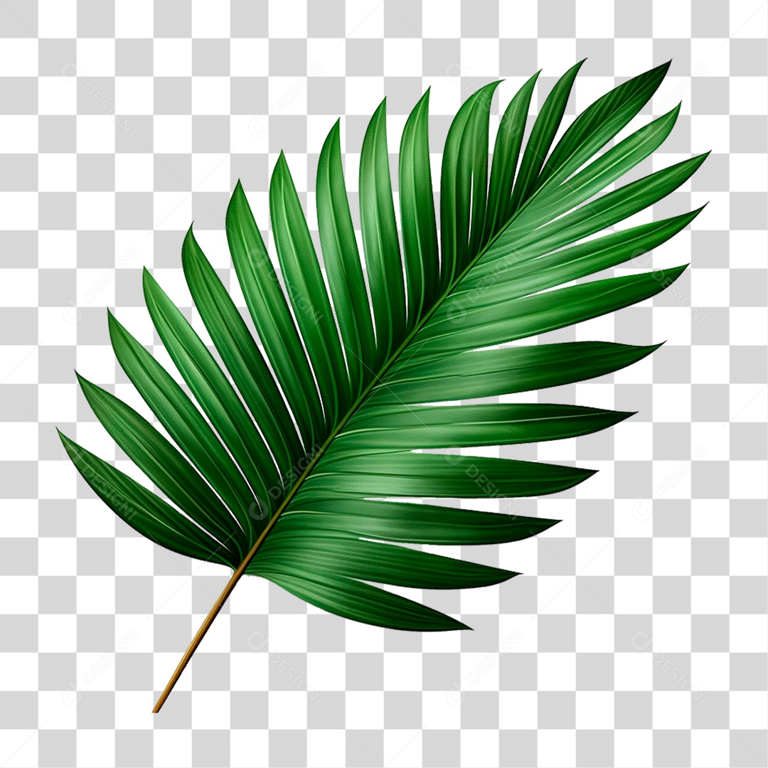 Palha Verde PNG Transparente