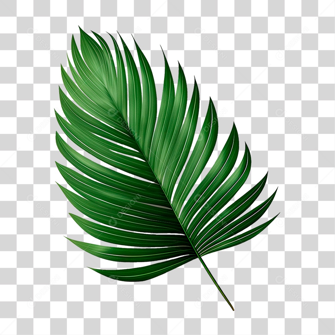 Palha Verde PNG Transparente