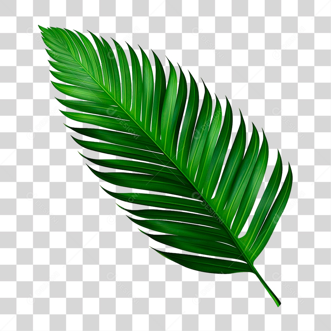 Palha Verde PNG Transparente