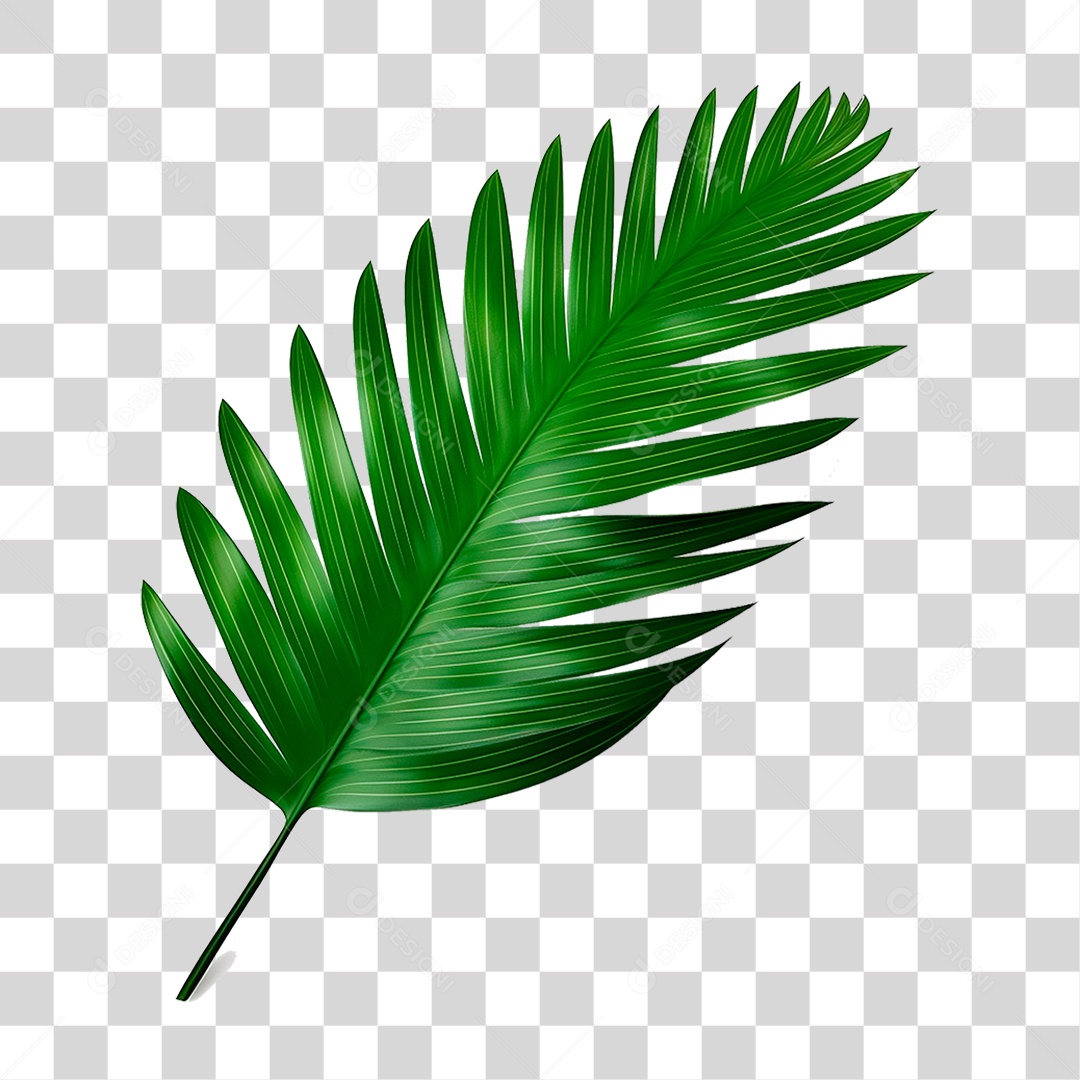 Palha Verde PNG Transparente