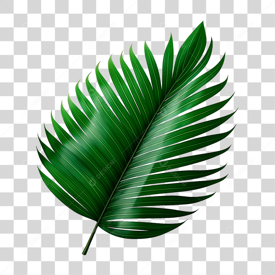 Palha Verde PNG Transparente