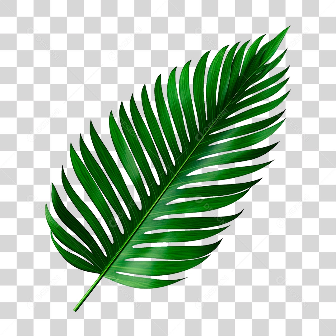 Palha Verde PNG Transparente