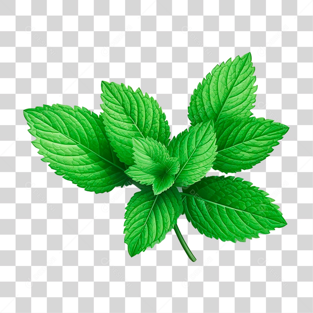 Folhas de Hortelã PNG Transparente
