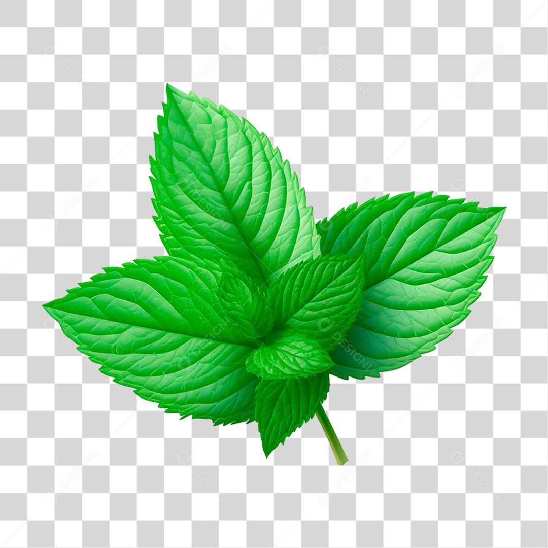 Folhas de Hortelã PNG Transparente
