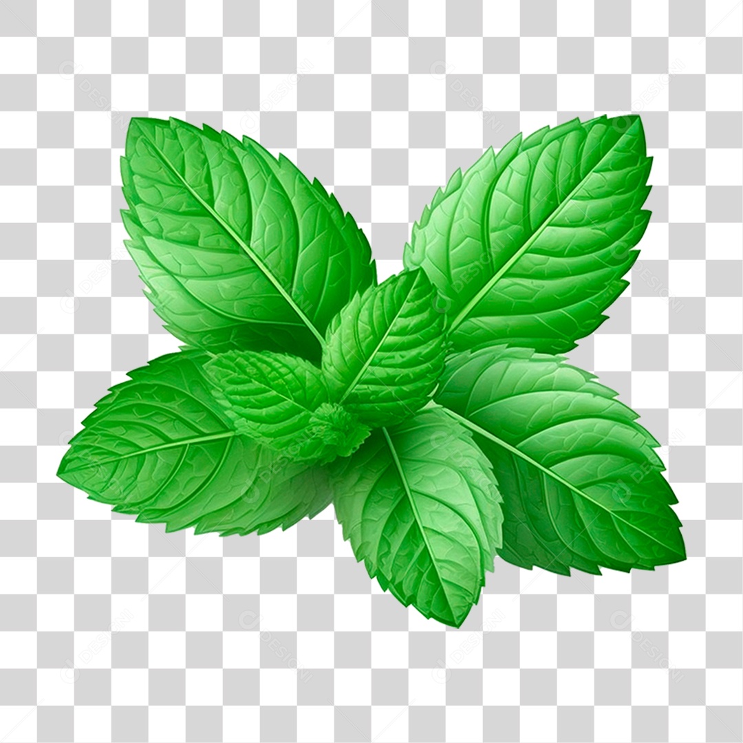 Folhas de Hortelã PNG Transparente
