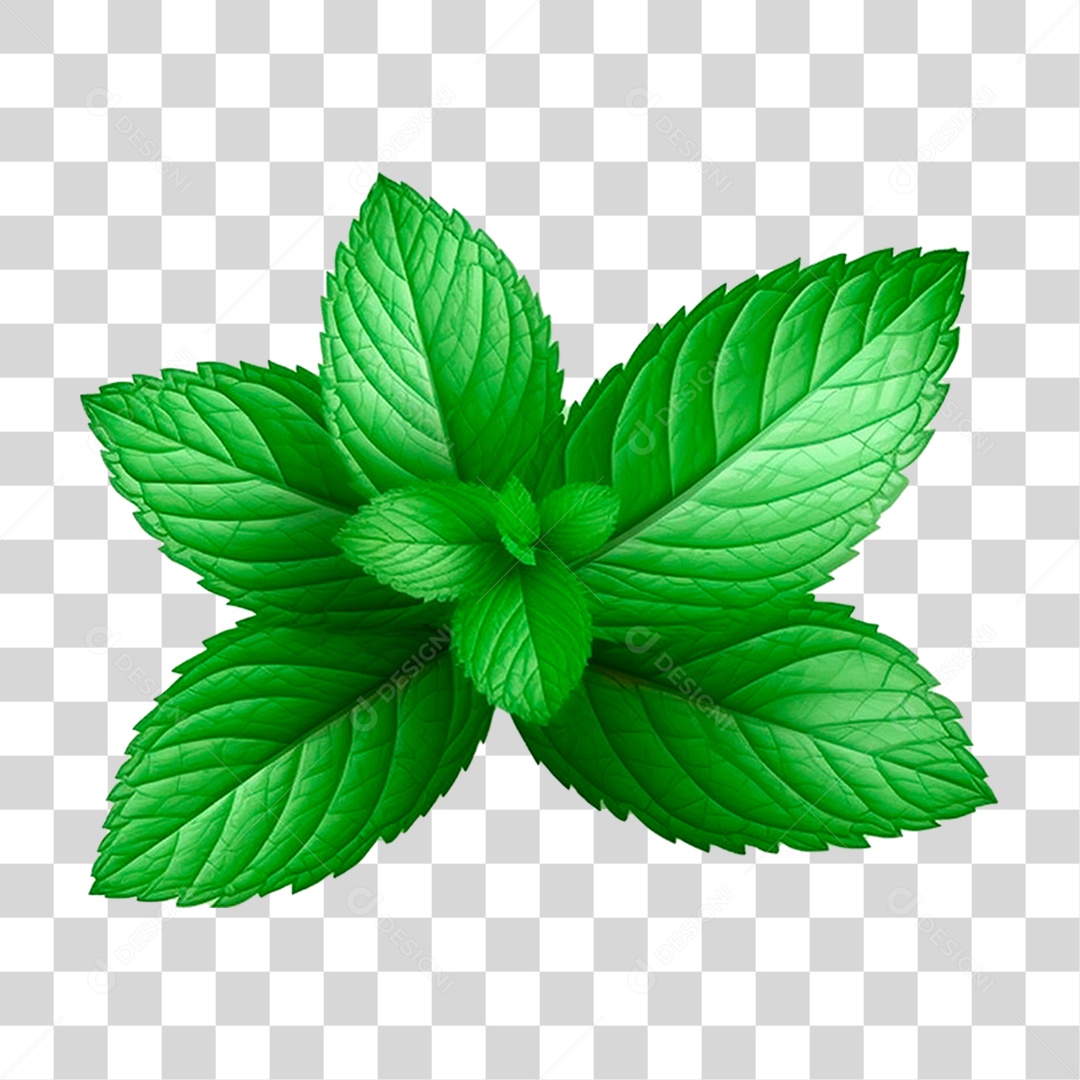 Folhas de Hortelã PNG Transparente