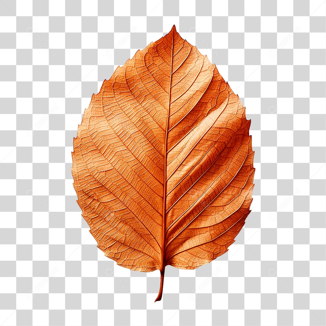 Folha Seca PNG Transparente