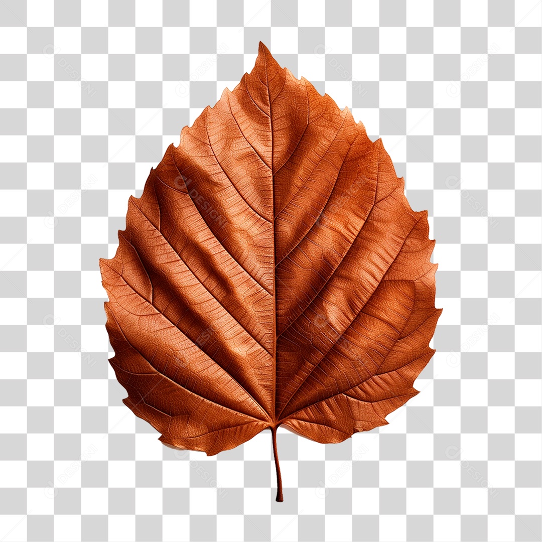 Folha Seca PNG Transparente