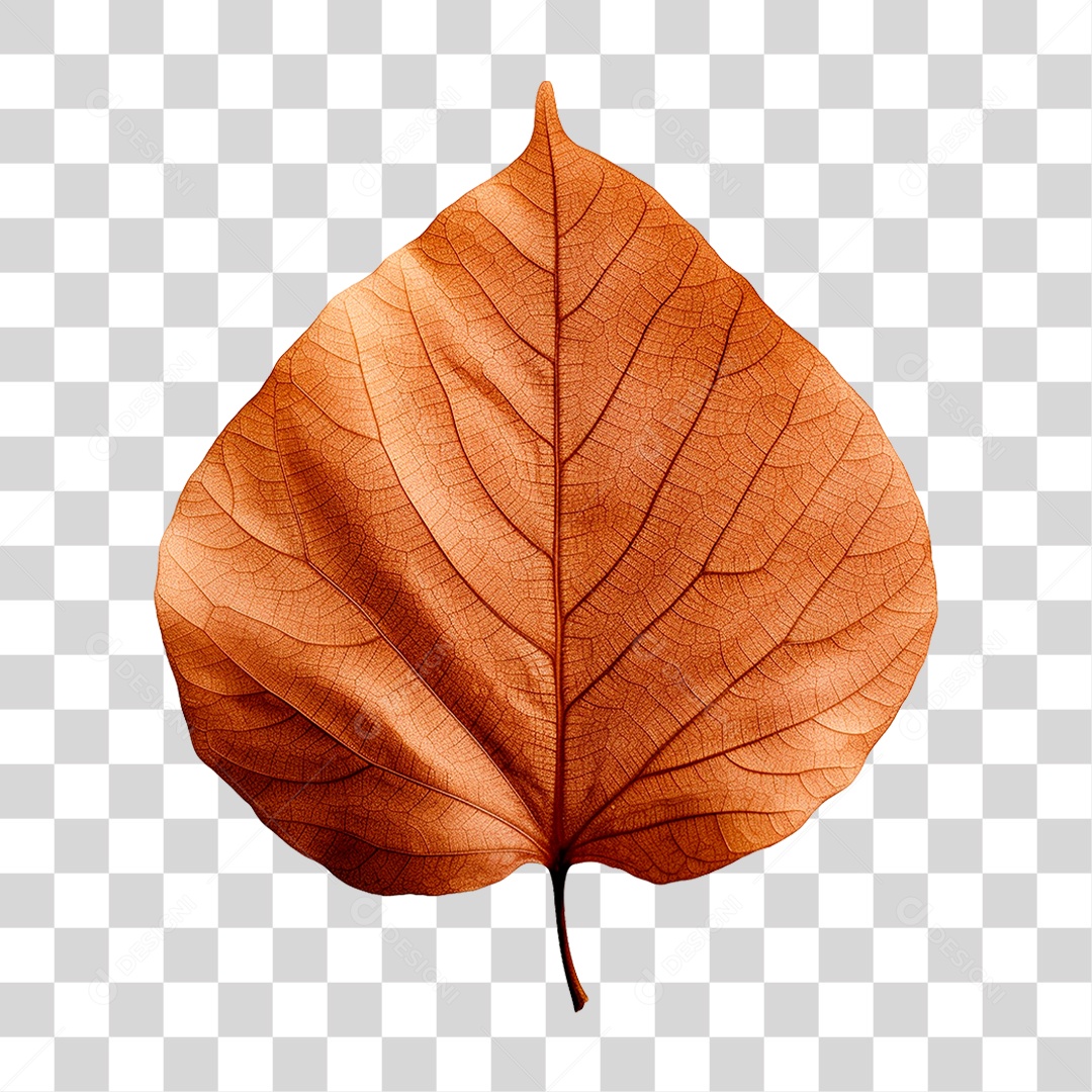 Folha Seca PNG Transparente