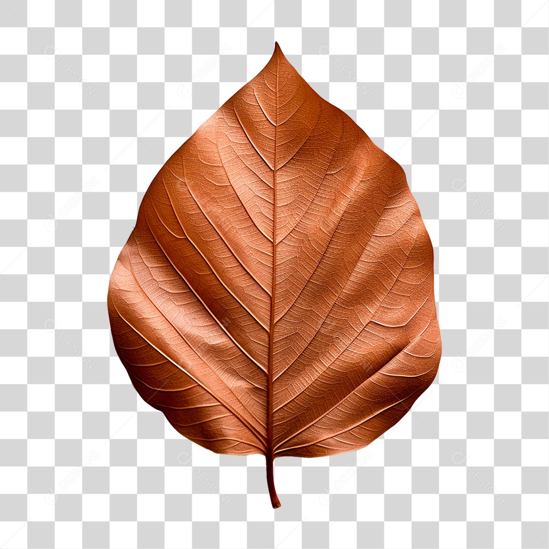 Folha Seca PNG Transparente