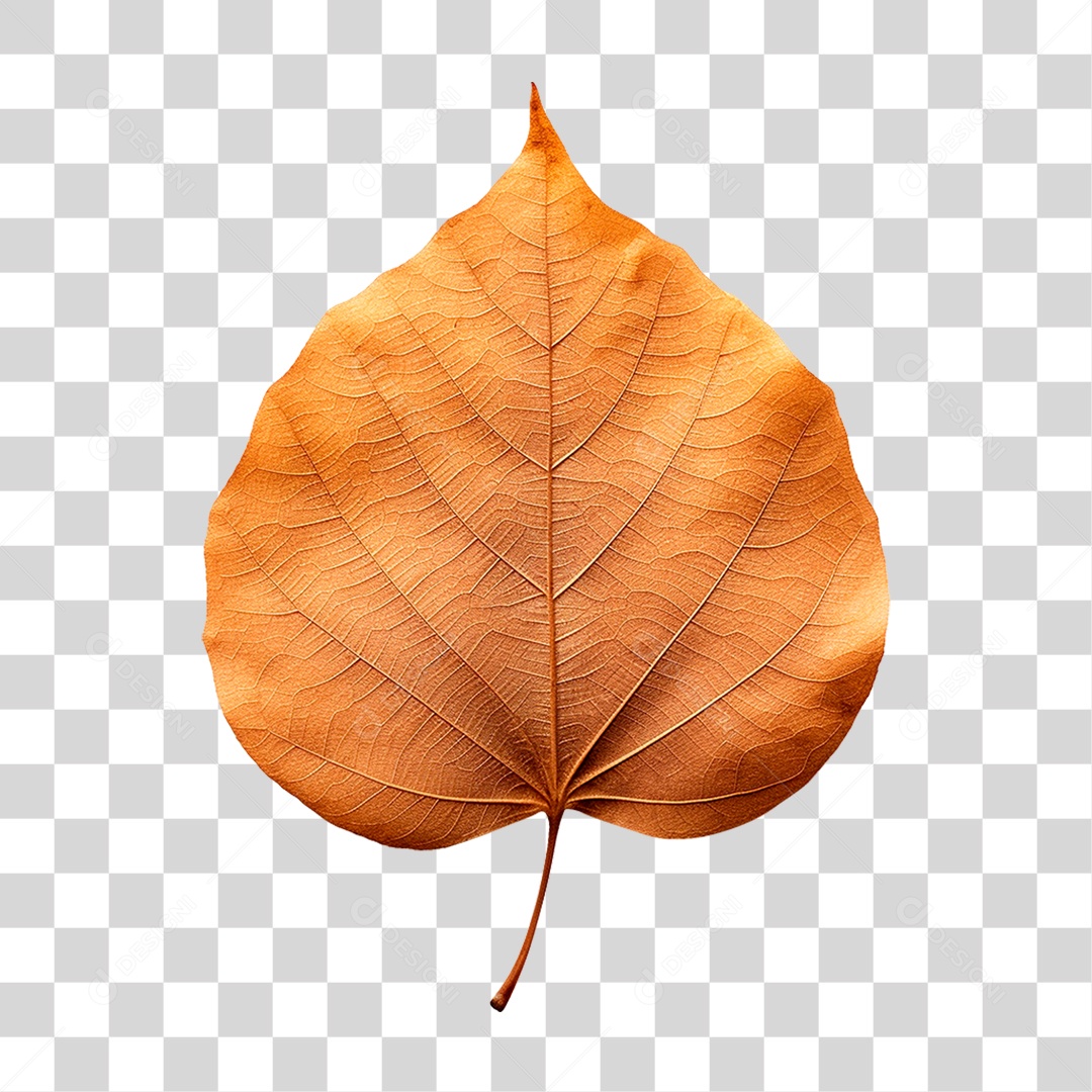 Folha Seca PNG Transparente