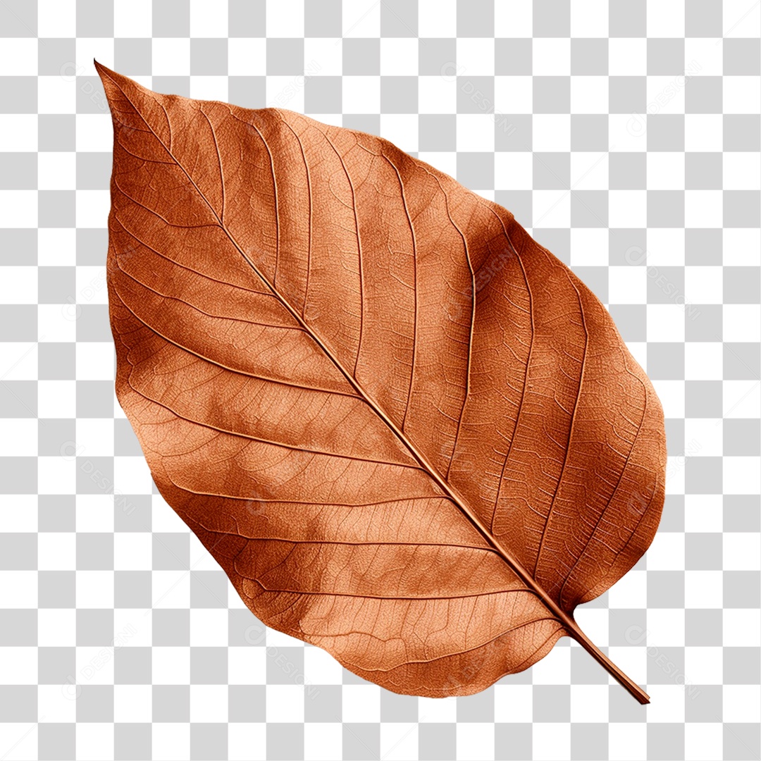 Folha Seca PNG Transparente
