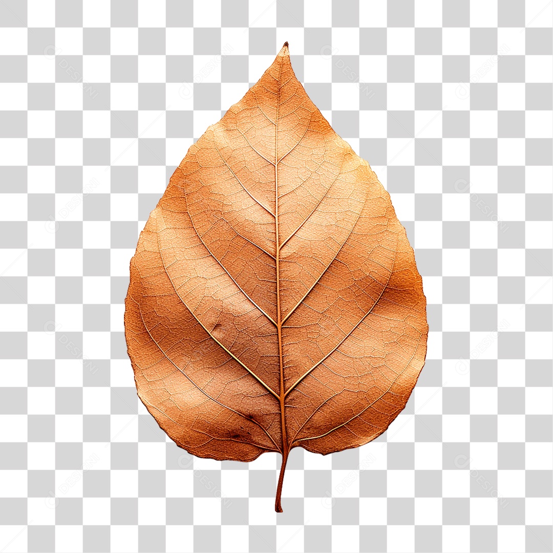 Folha Seca PNG Transparente