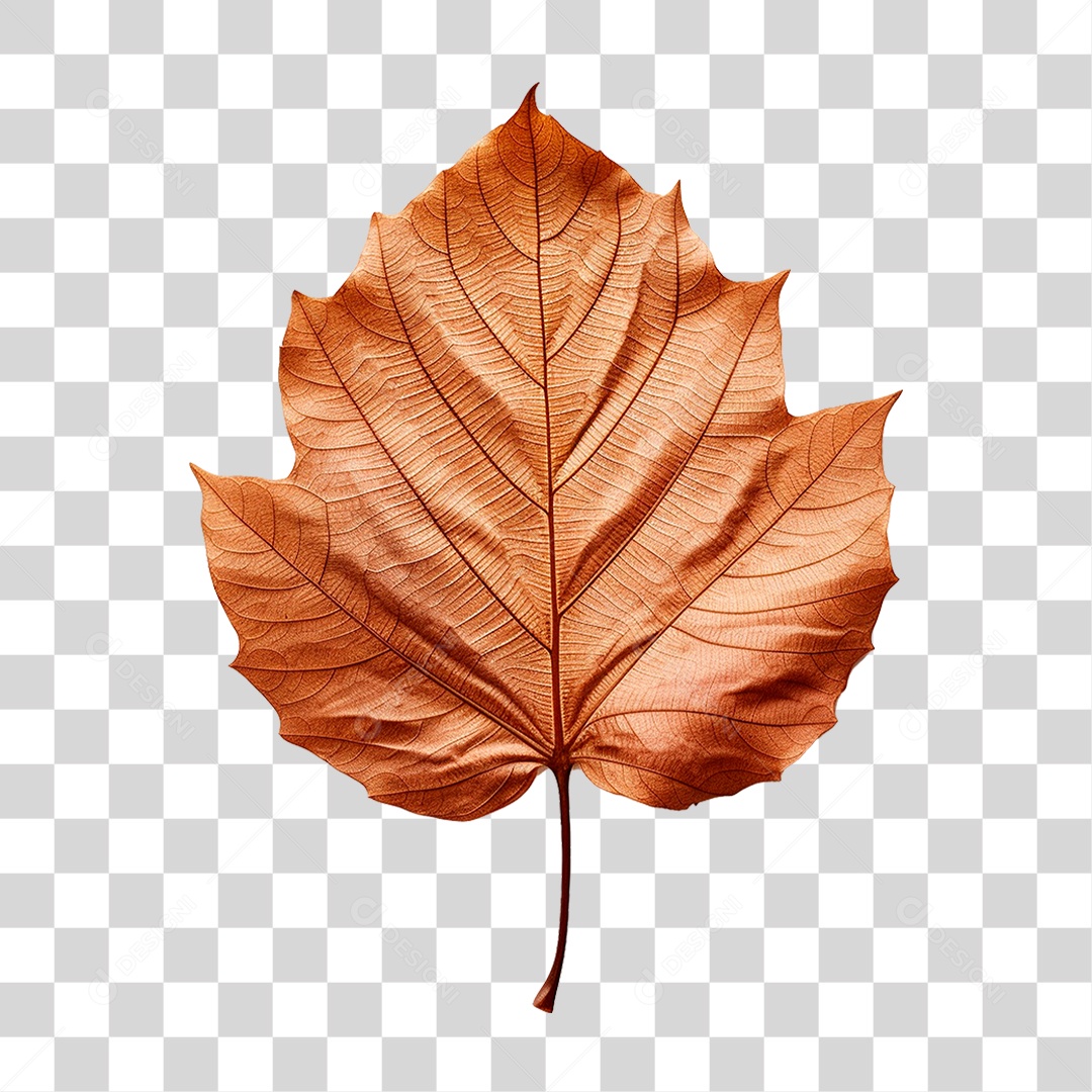 Folha Seca PNG Transparente