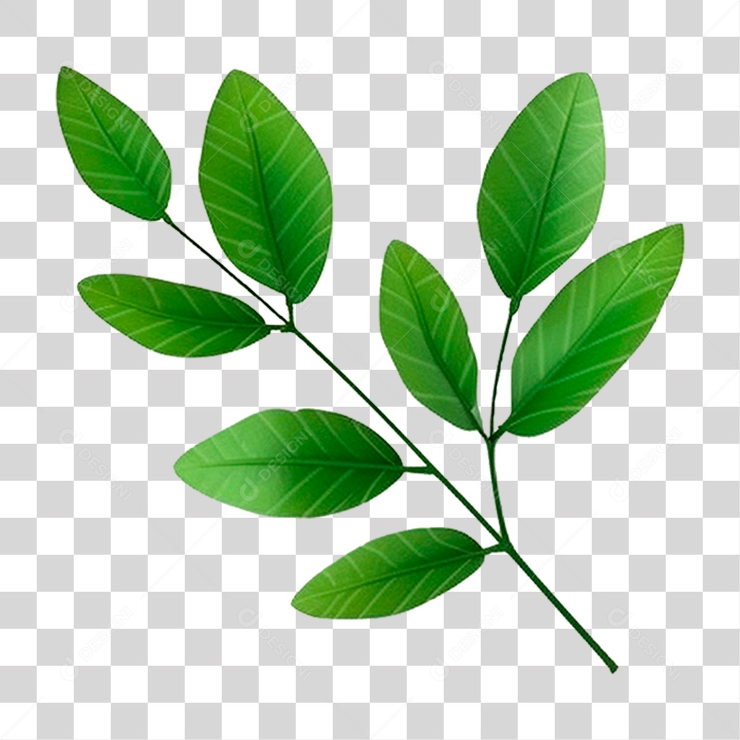 Galho Verde PNG Transparente