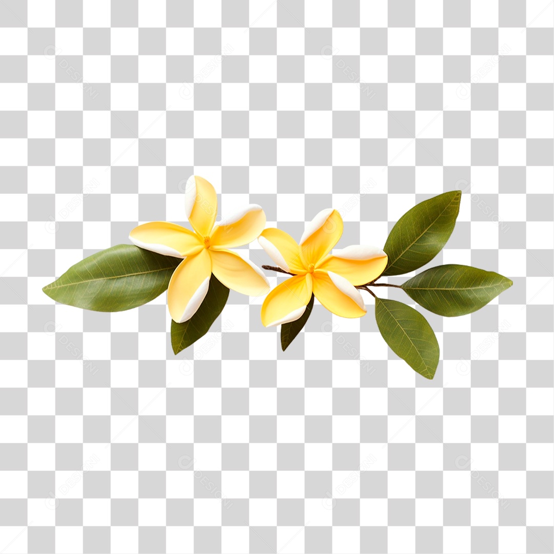 Jasmim Manga PNG Transparente