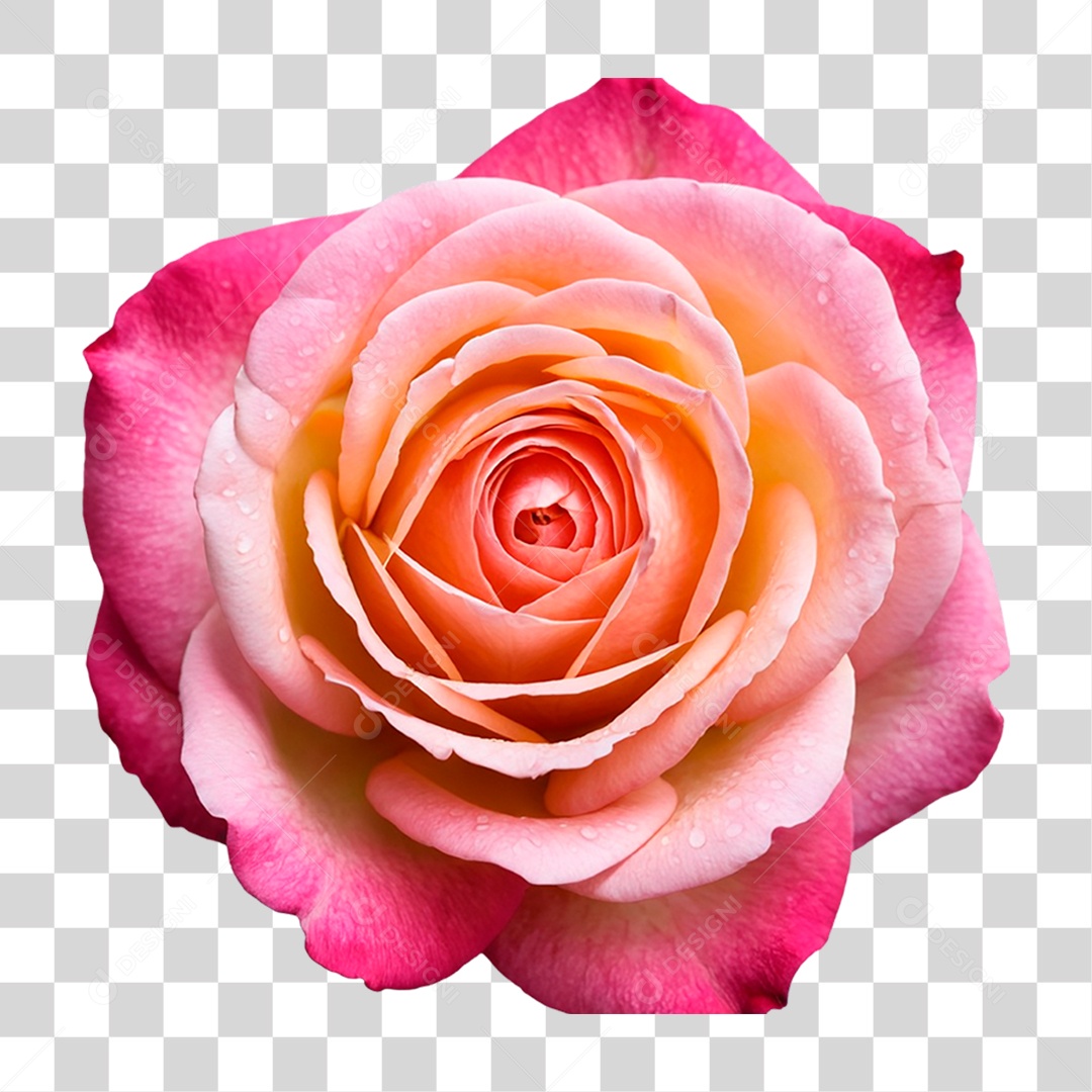 Rosa Vermelha PNG Transparente
